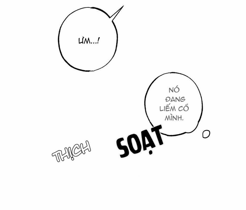 Trò Chơi Safari 5 trang 40