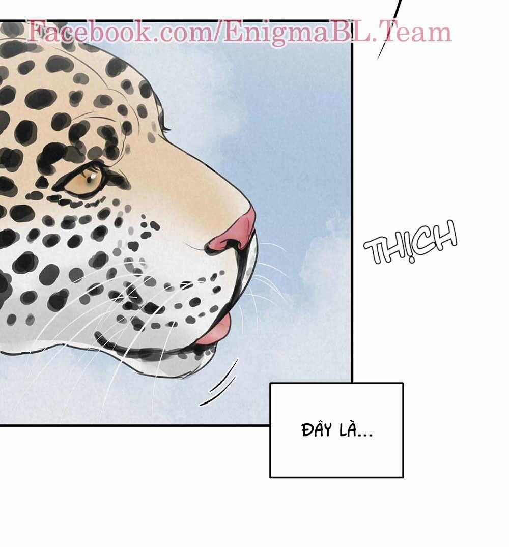 Trò Chơi Safari 5 trang 41