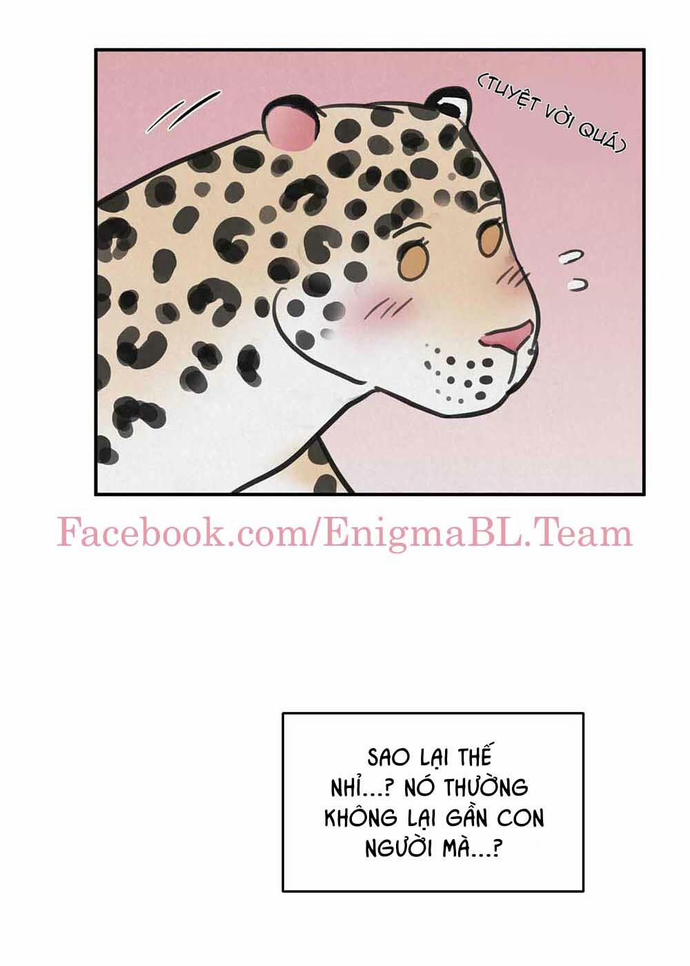 Trò Chơi Safari 5 trang 43