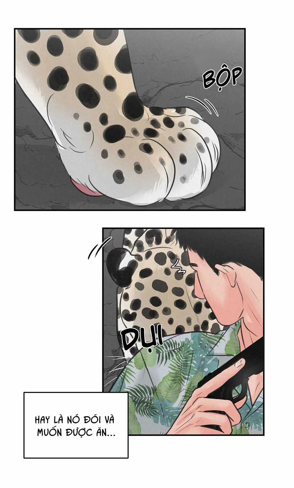 Trò Chơi Safari 5 trang 44