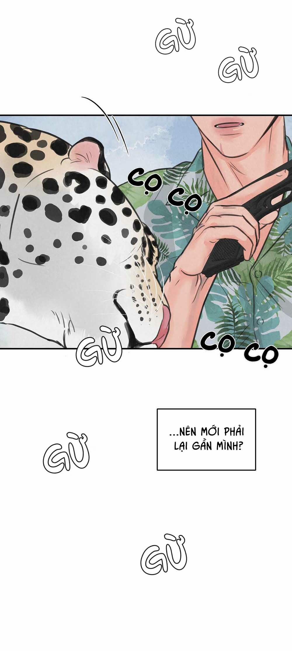 Trò Chơi Safari 5 trang 45