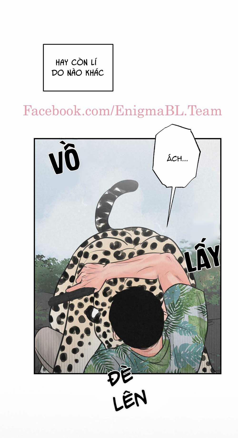 Trò Chơi Safari 5 trang 46