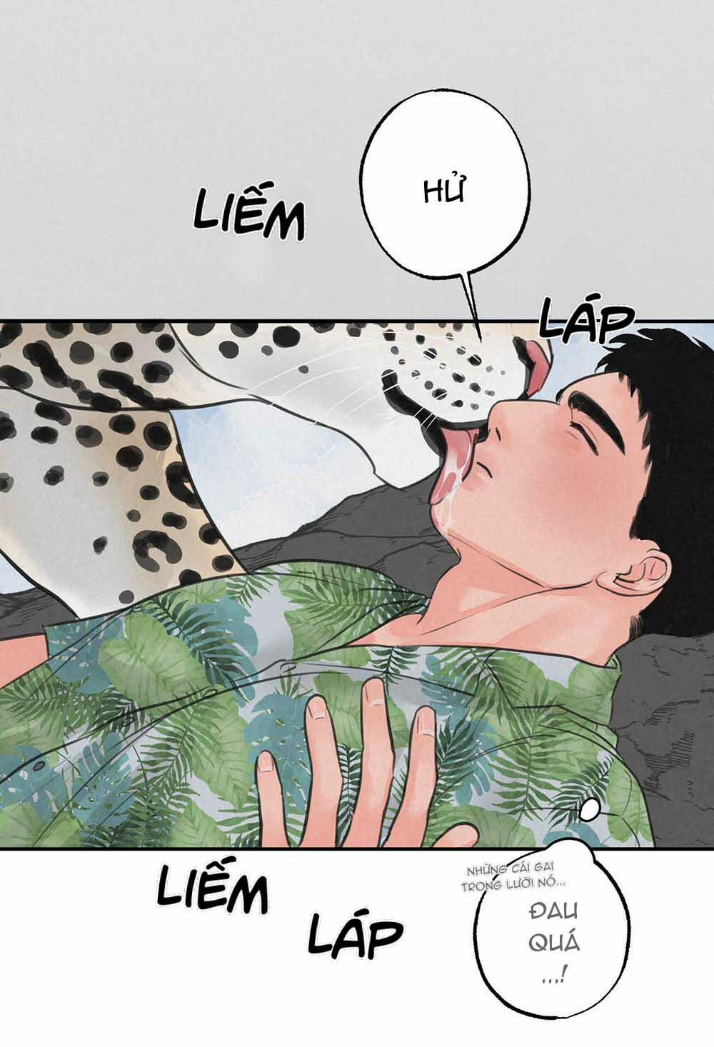 Trò Chơi Safari 5 trang 48