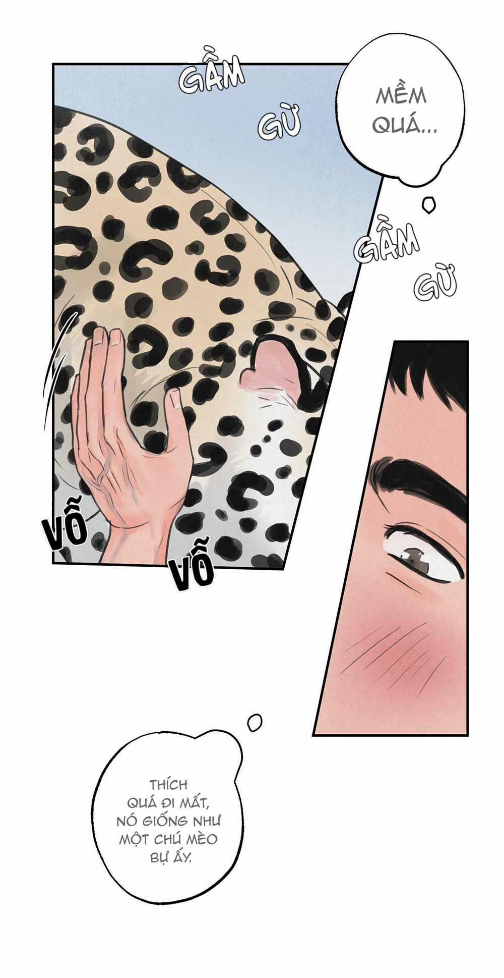 Trò Chơi Safari 5 trang 50