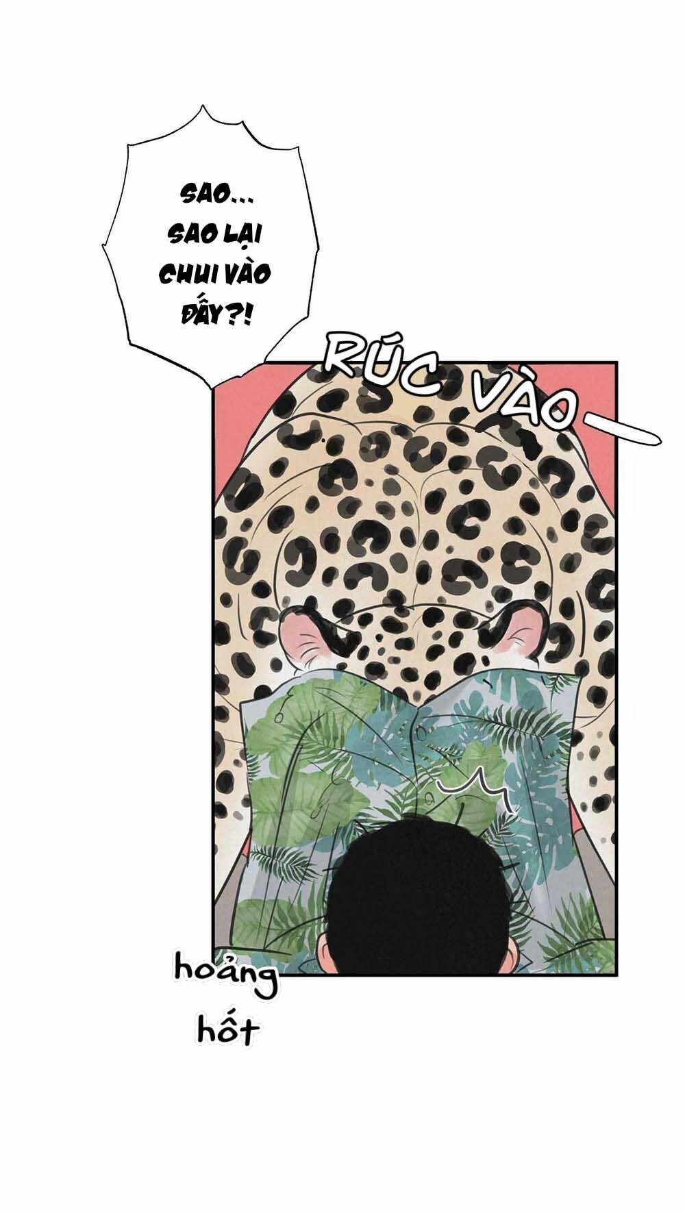 Trò Chơi Safari 5 trang 52