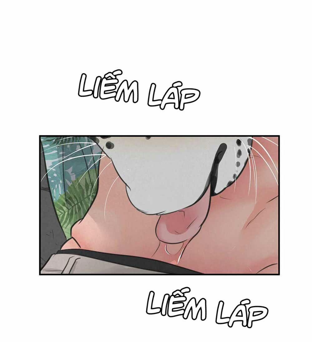 Trò Chơi Safari 5 trang 53