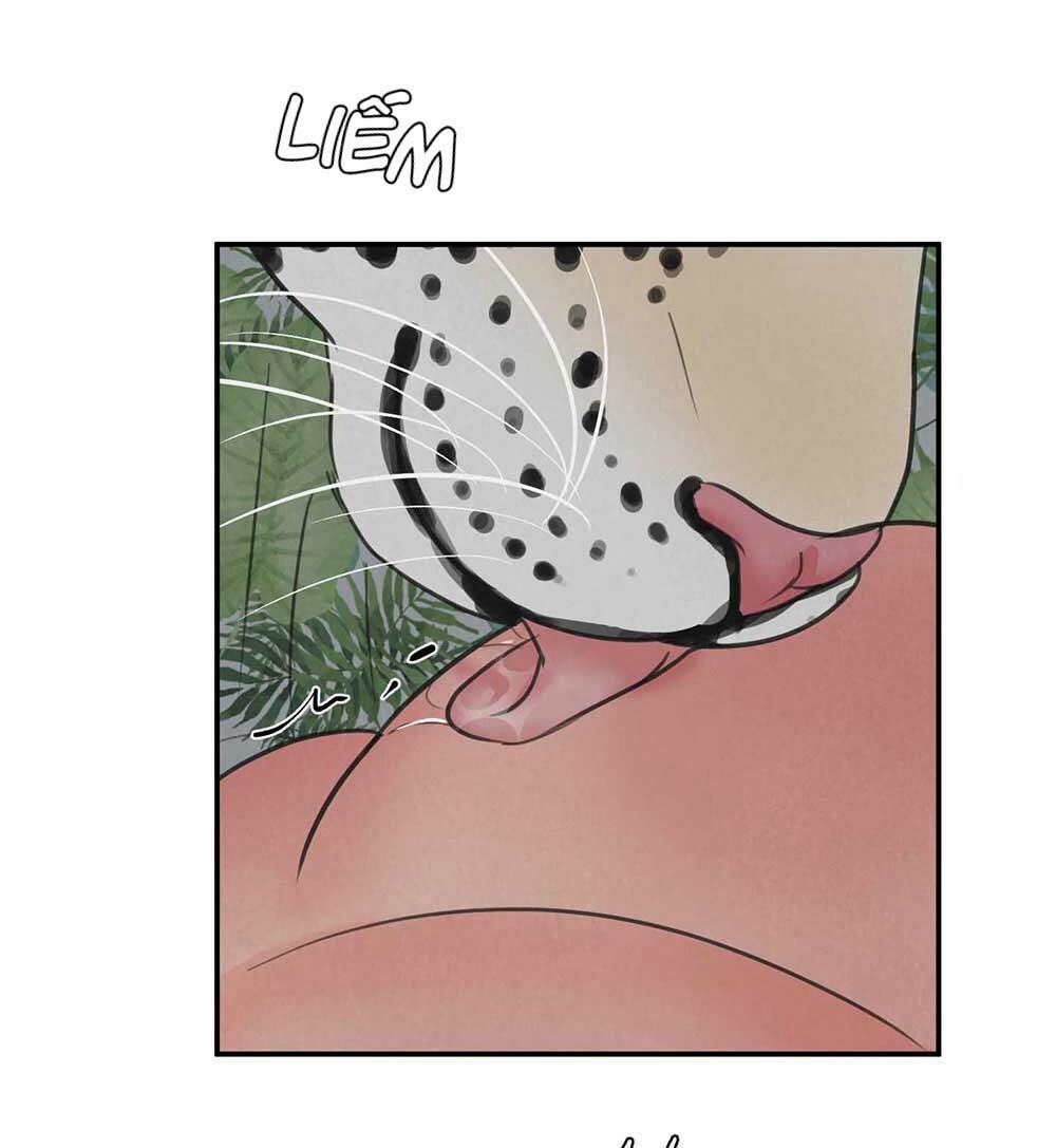 Trò Chơi Safari 5 trang 55