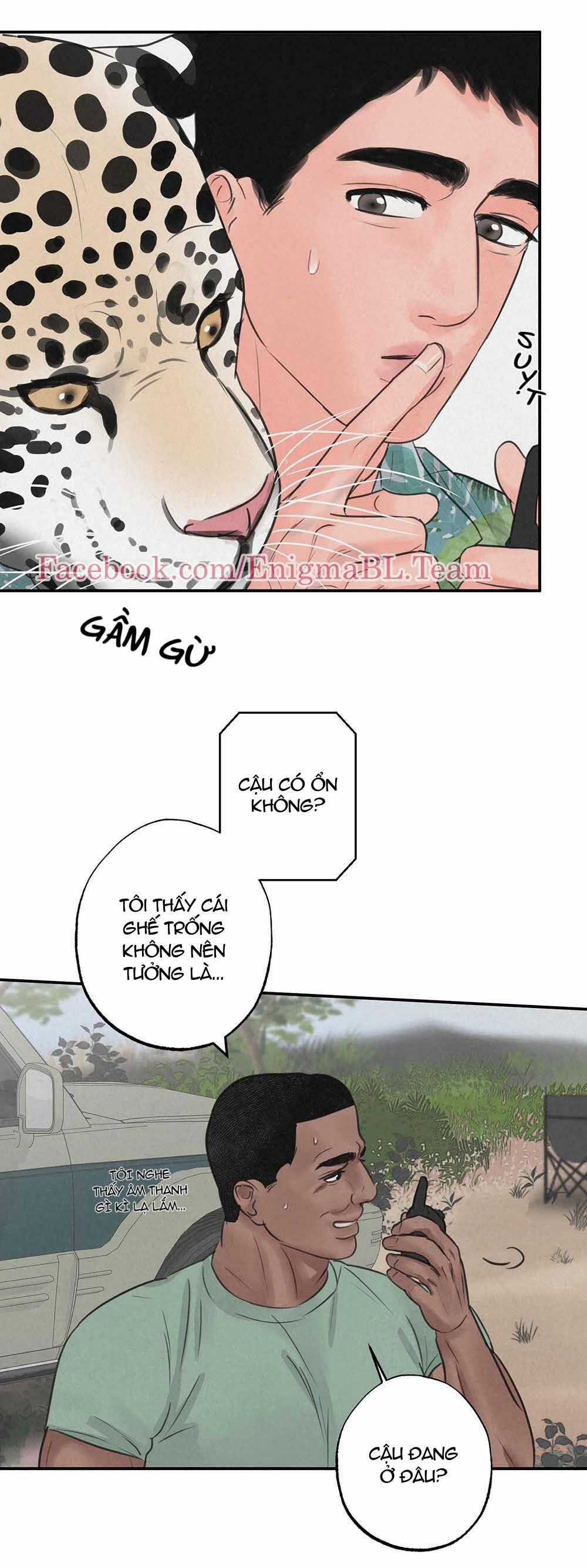 Trò Chơi Safari 6 trang 12