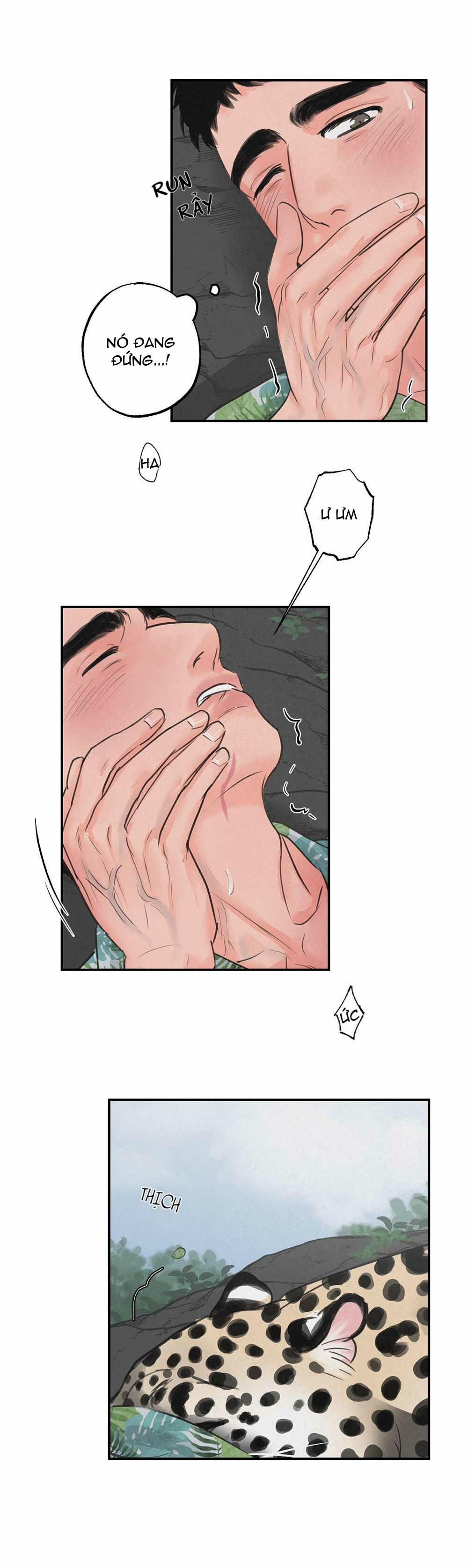 Trò Chơi Safari 6 trang 2