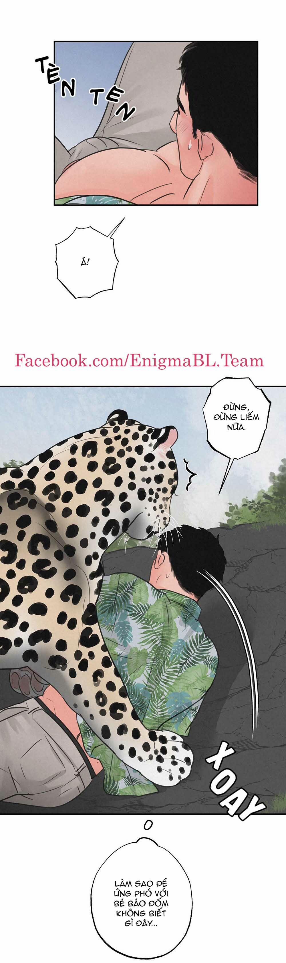 Trò Chơi Safari 6 trang 3