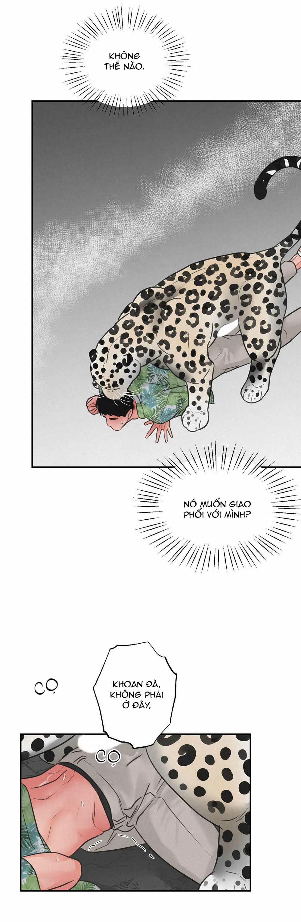 Trò Chơi Safari 6 trang 6