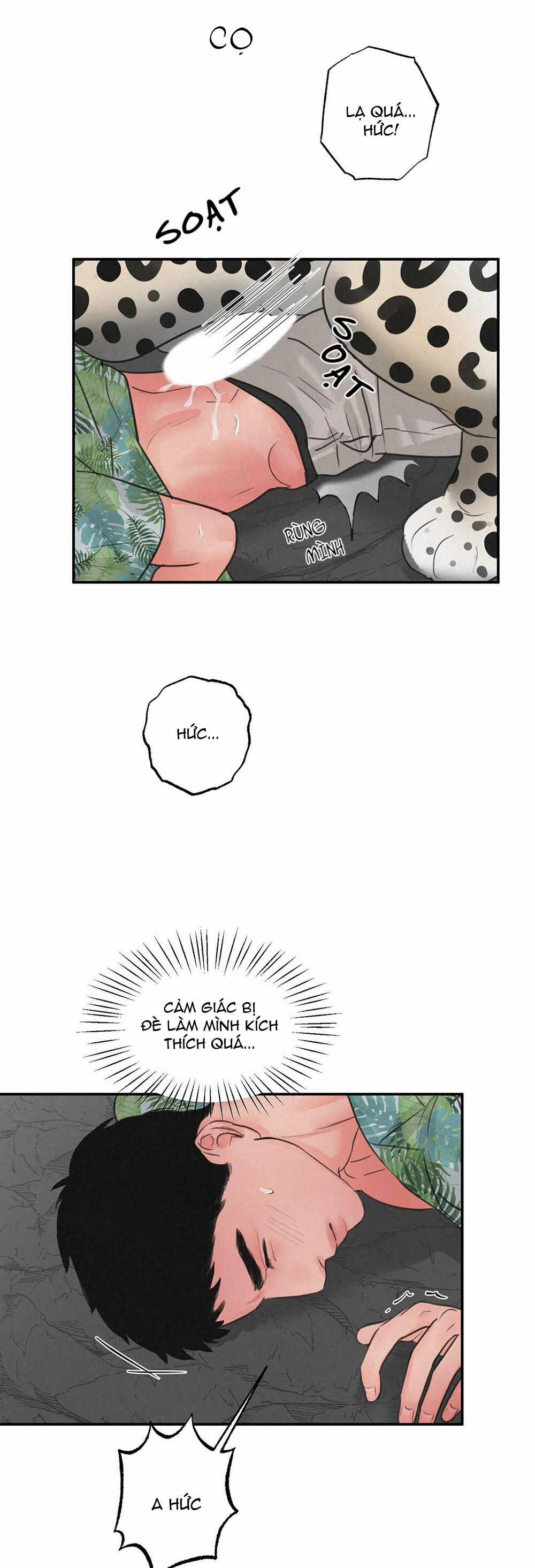 Trò Chơi Safari 6 trang 7