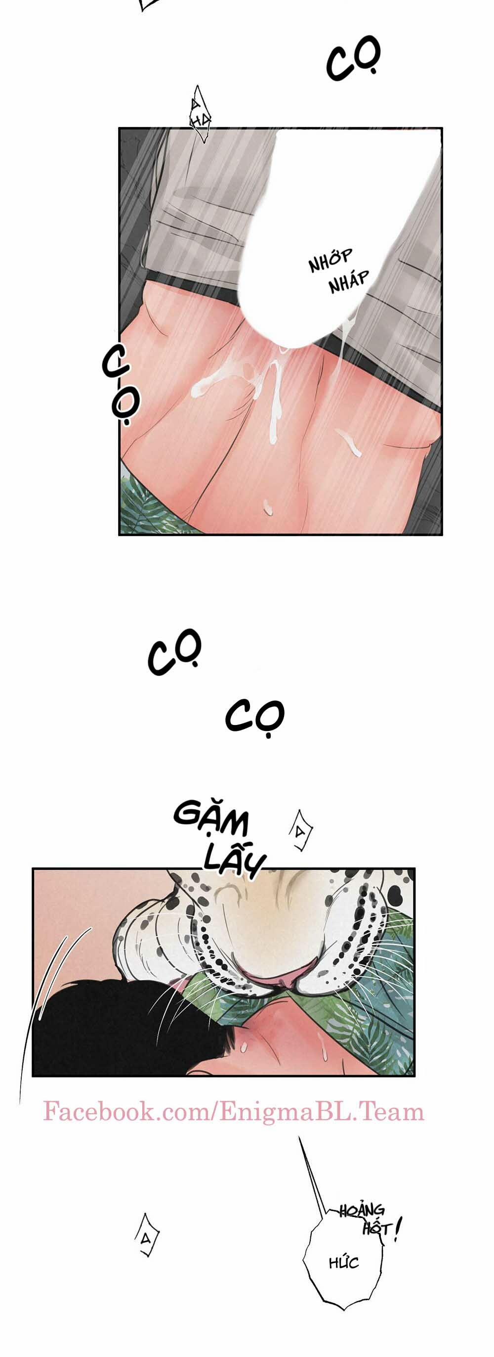 Trò Chơi Safari 6 trang 8