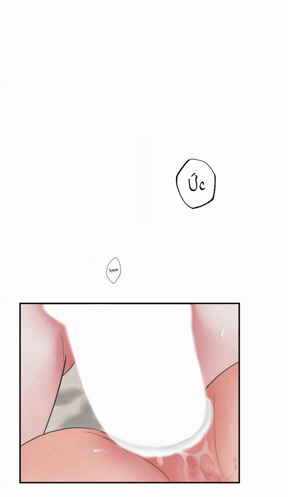 Trò Chơi Safari 8 trang 0