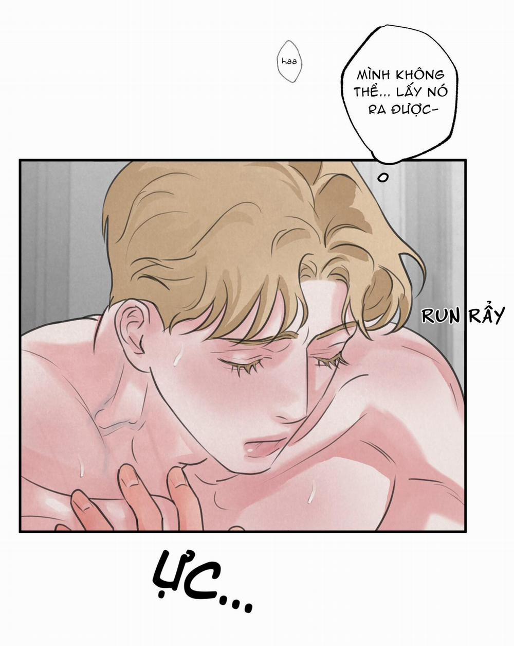 Trò Chơi Safari 8 trang 12