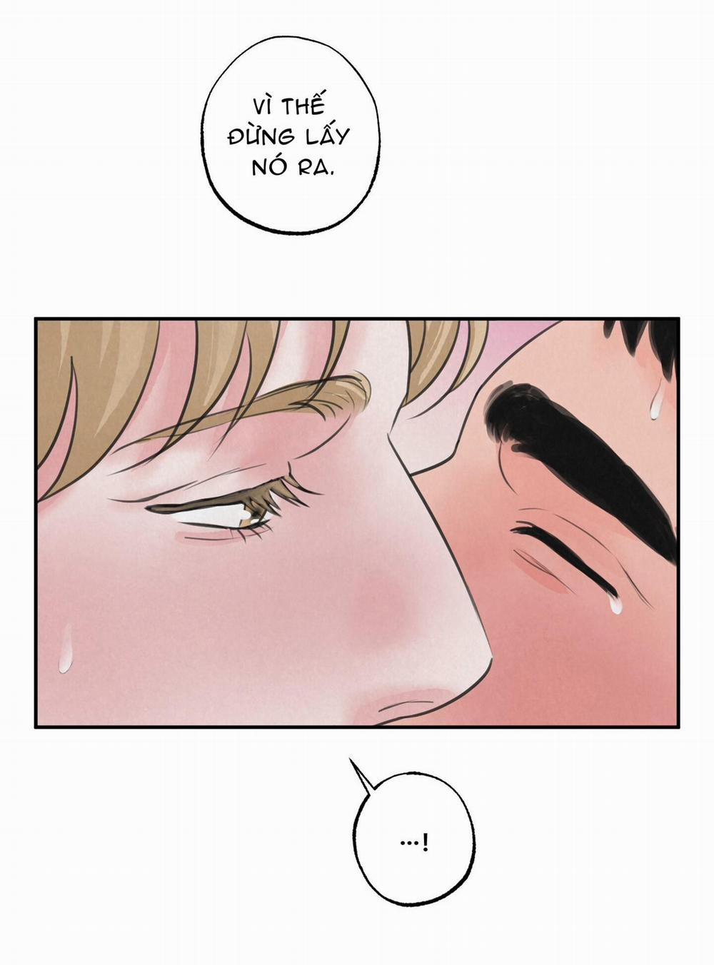 Trò Chơi Safari 8 trang 17