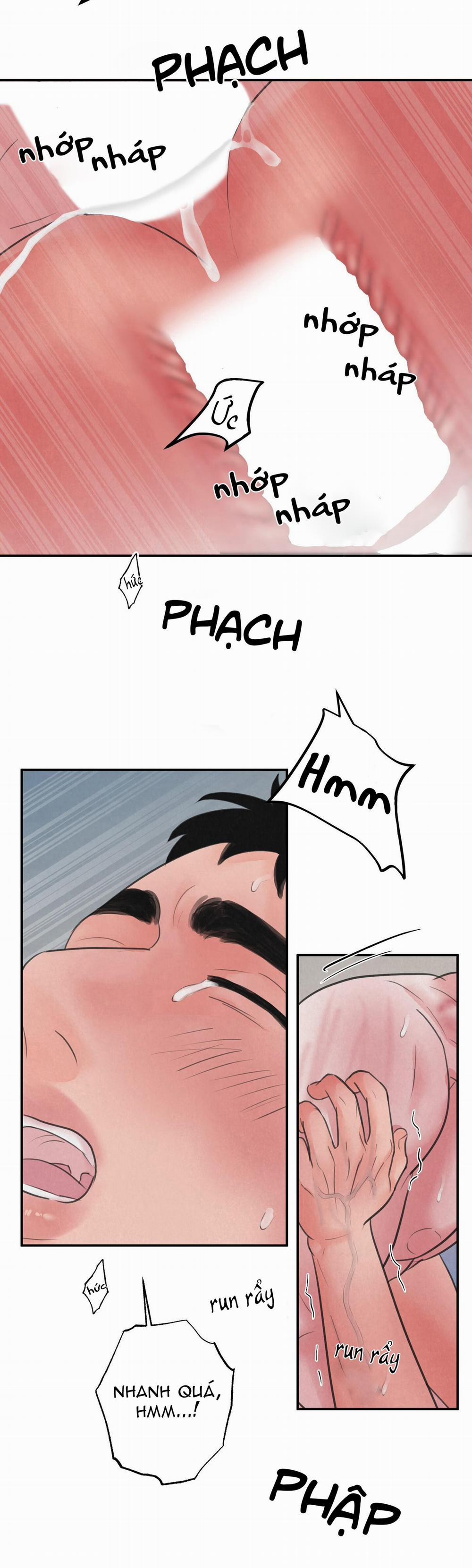 Trò Chơi Safari 8 trang 26