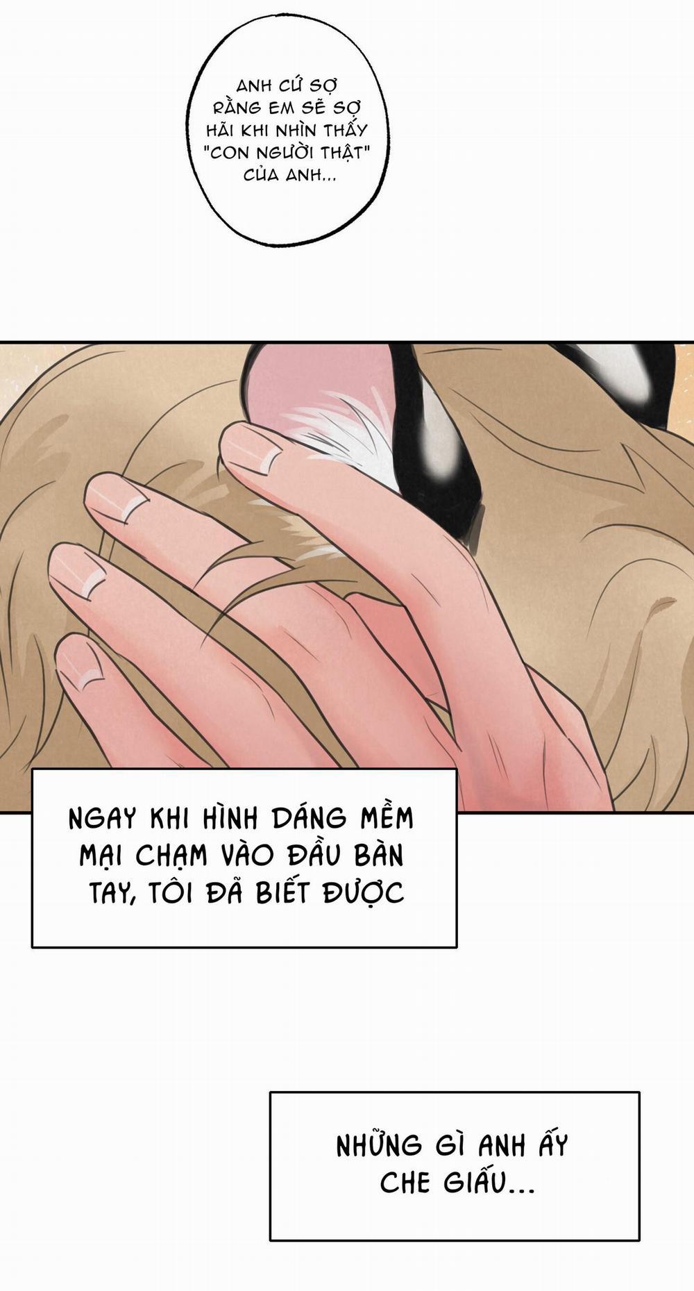 Trò Chơi Safari 8 trang 30