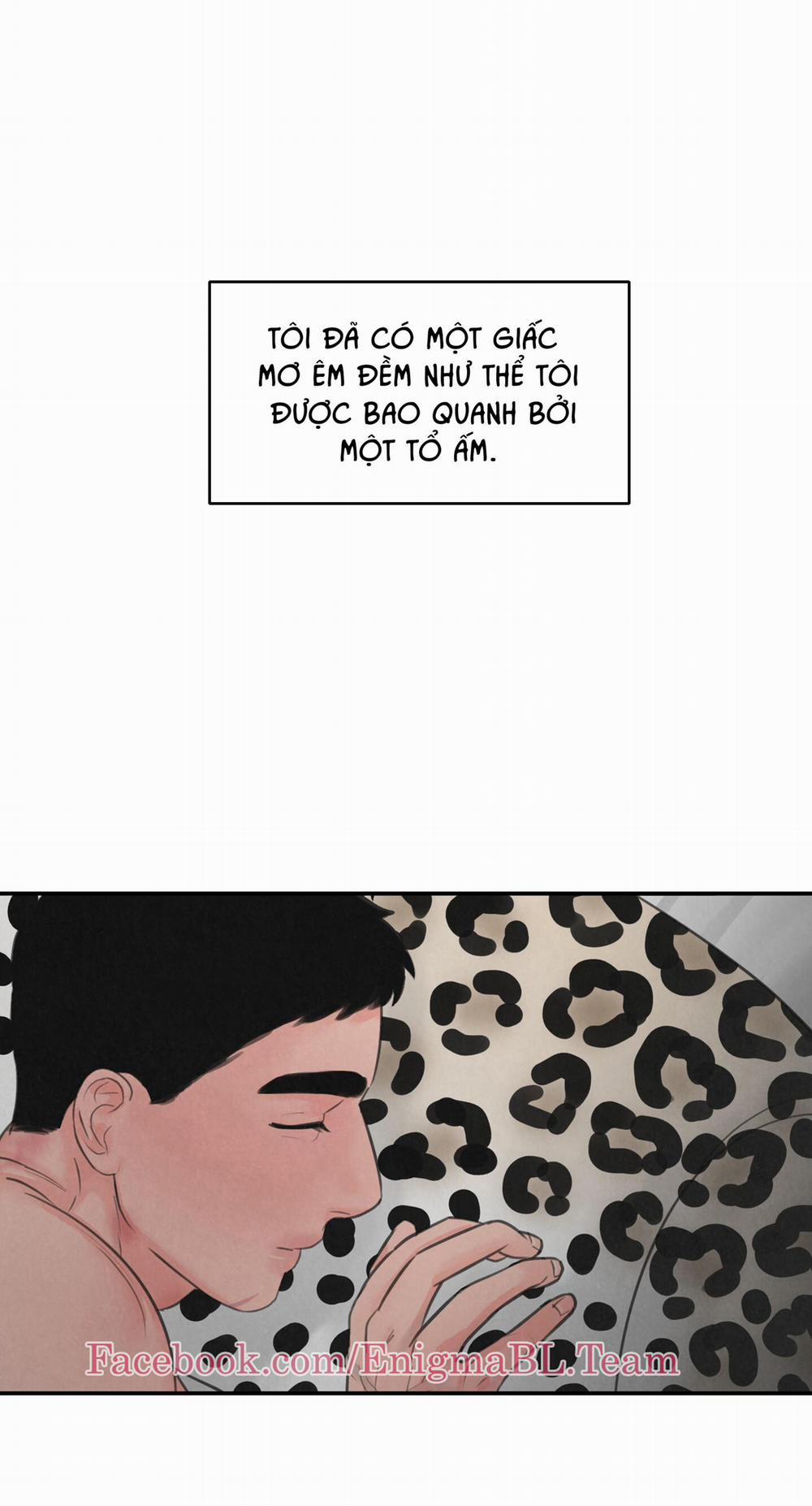 Trò Chơi Safari 9 trang 0