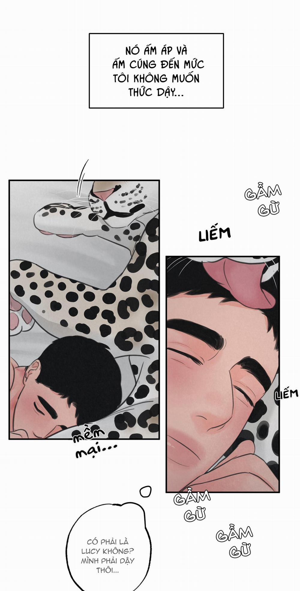 Trò Chơi Safari 9 trang 1