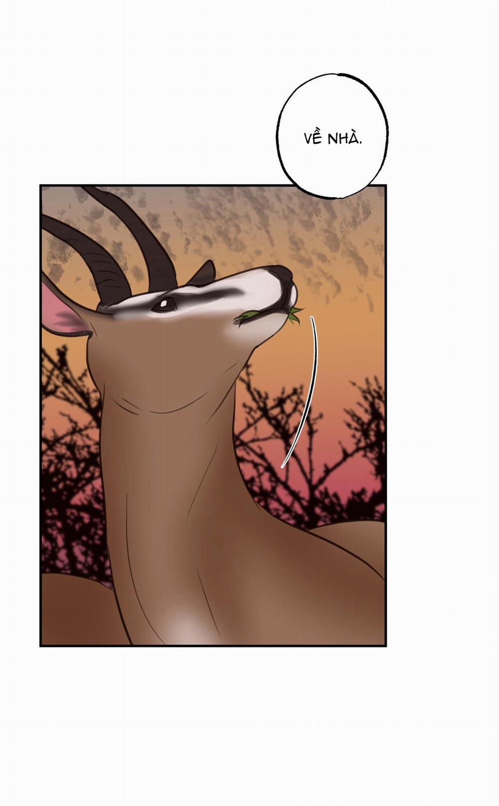 Trò Chơi Safari 9 trang 39