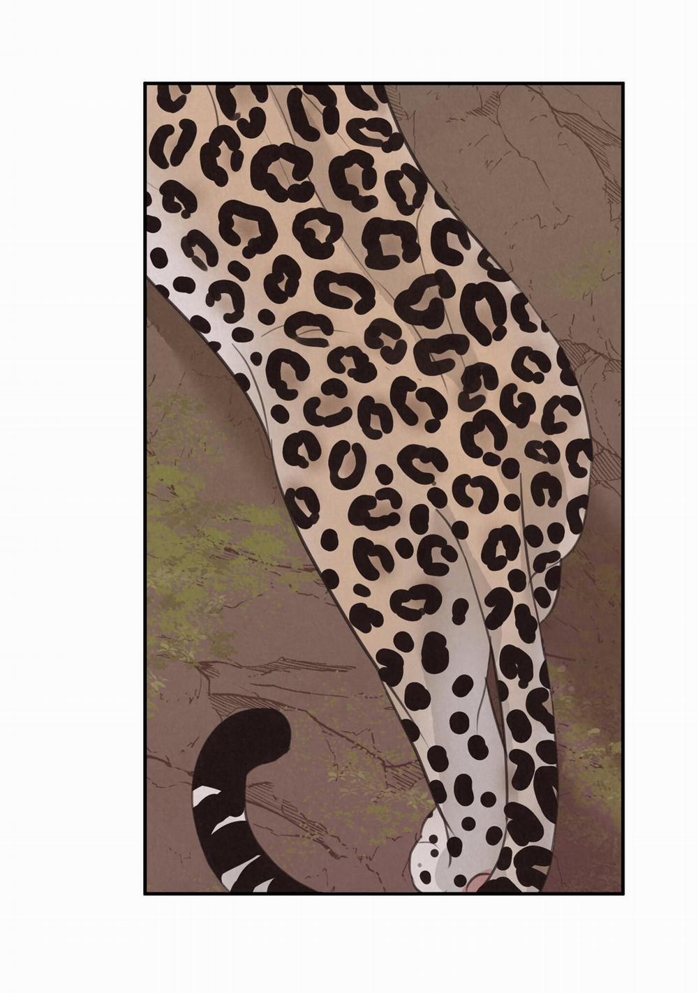 Trò Chơi Safari 9 trang 40