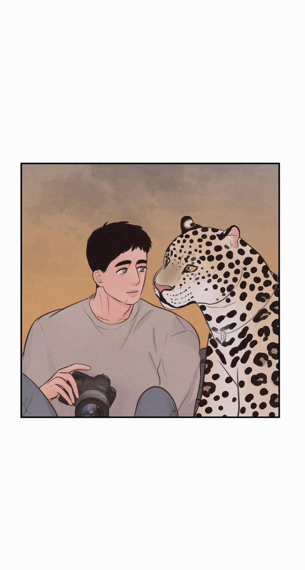 Trò Chơi Safari 9 trang 41