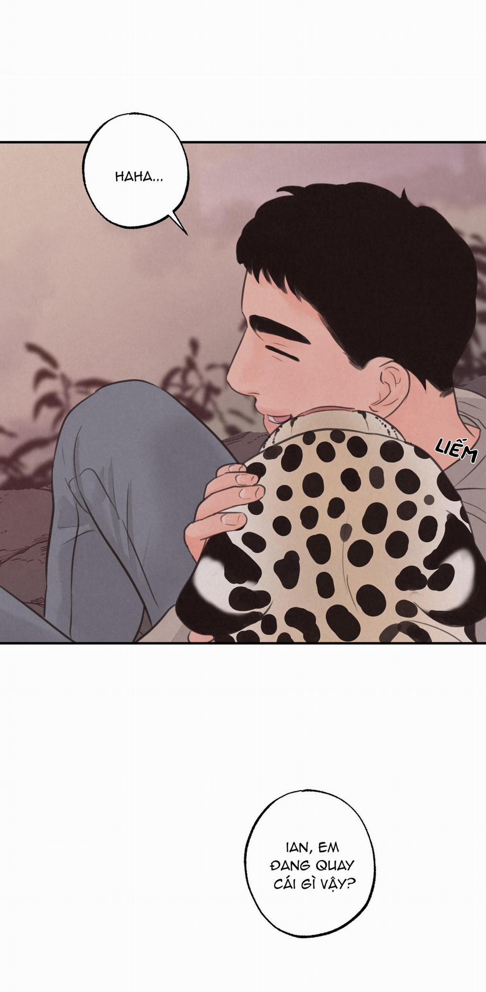 Trò Chơi Safari 9 trang 42