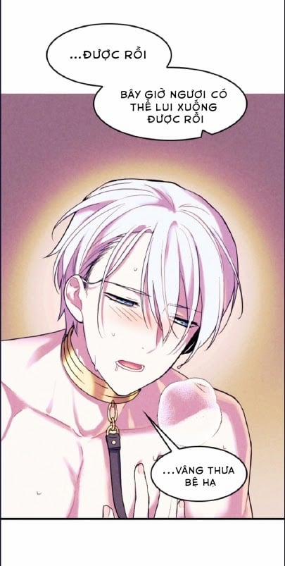 Trò Chơi Săn Mồi Của Hoàng Đế Và Thánh Kỵ Sĩ 5 trang 2