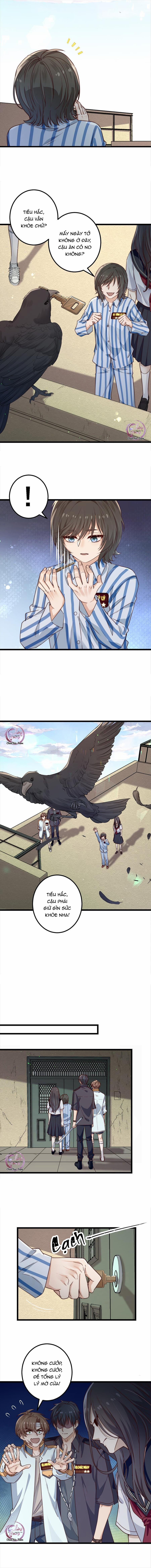 Trò Chơi Sinh Tồn 41 trang 2