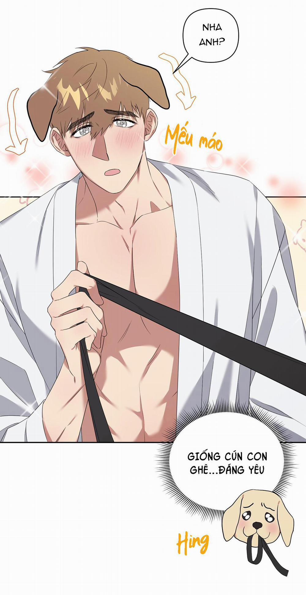 TRỢ GIẢNG ƠI, BỊ LỪA RỒI 3 trang 39