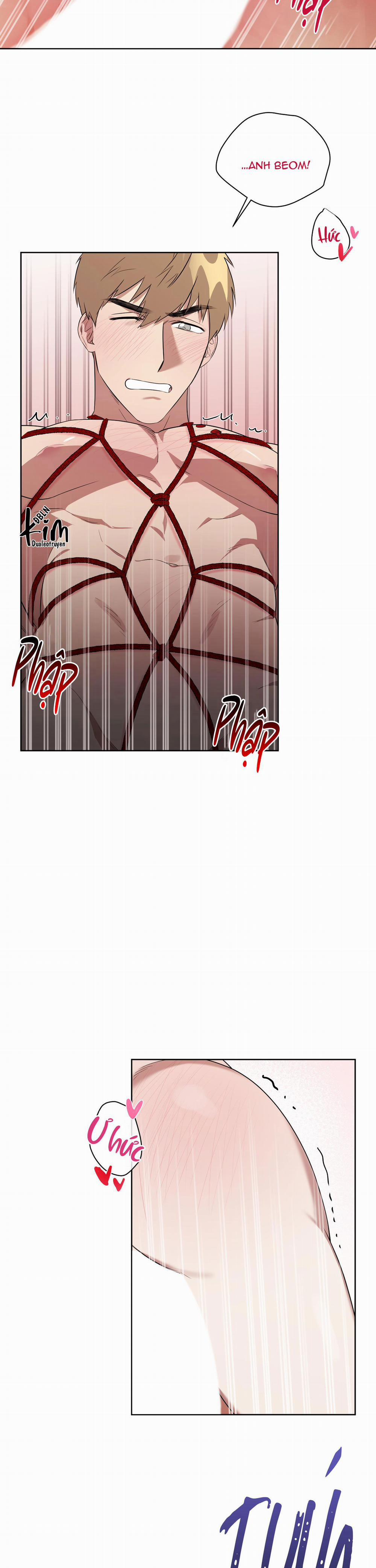 TRỢ GIẢNG ƠI, BỊ LỪA RỒI 5 trang 19