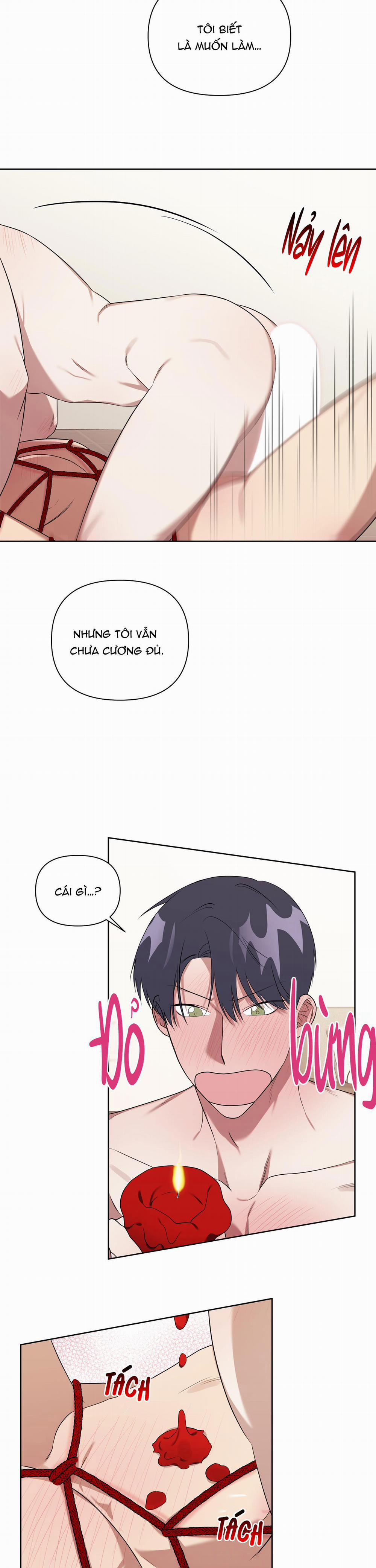 TRỢ GIẢNG ƠI, BỊ LỪA RỒI 5 trang 9