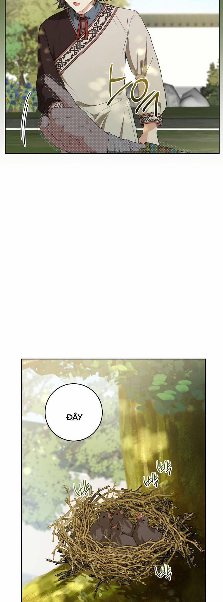 Trở Thành Cô Cháu Gái Bị Khinh Miệt Của Gia Tộc Võ Lâm 18 trang 13