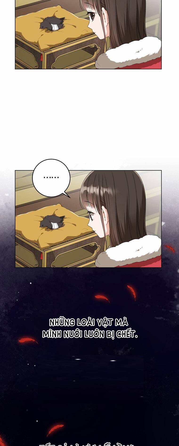 Trở Thành Cô Cháu Gái Bị Khinh Miệt Của Gia Tộc Võ Lâm 19 trang 19