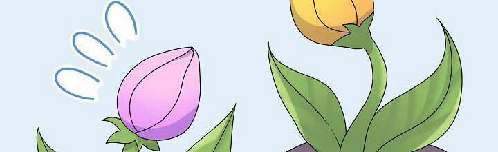 Trở Thành Con Gái Của Các Nhân Vật Chính 28 trang 226