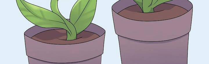 Trở Thành Con Gái Của Các Nhân Vật Chính 28 trang 227