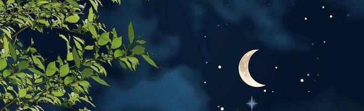 Trở Thành Con Gái Của Các Nhân Vật Chính 28 trang 469