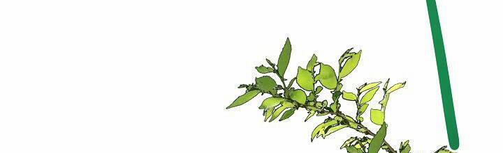 Trở Thành Con Gái Của Các Nhân Vật Chính 29 trang 323