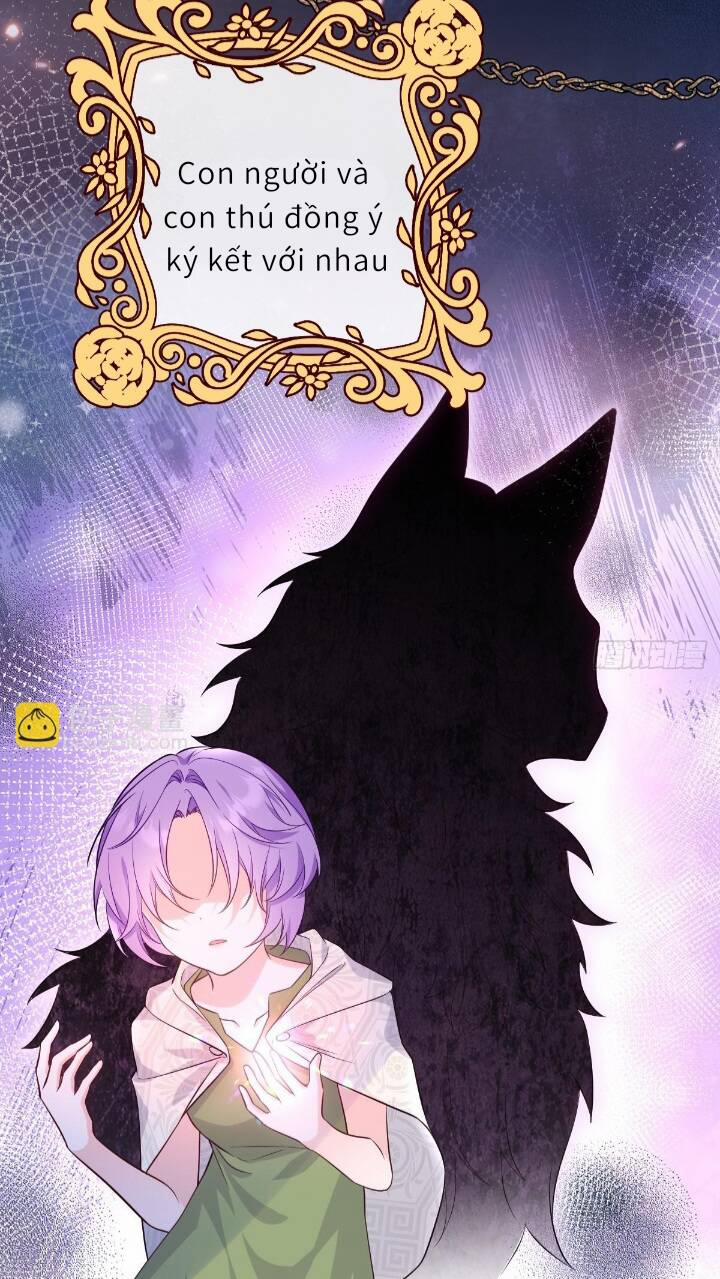 Trở Thành Đoàn Sủng Về Sau, Ta Đại Sát Tứ Phương 1 trang 30