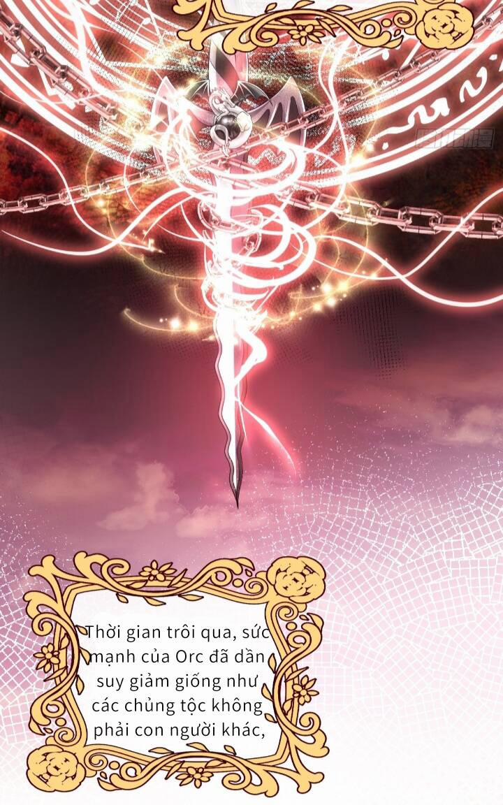 Trở Thành Đoàn Sủng Về Sau, Ta Đại Sát Tứ Phương 1 trang 32