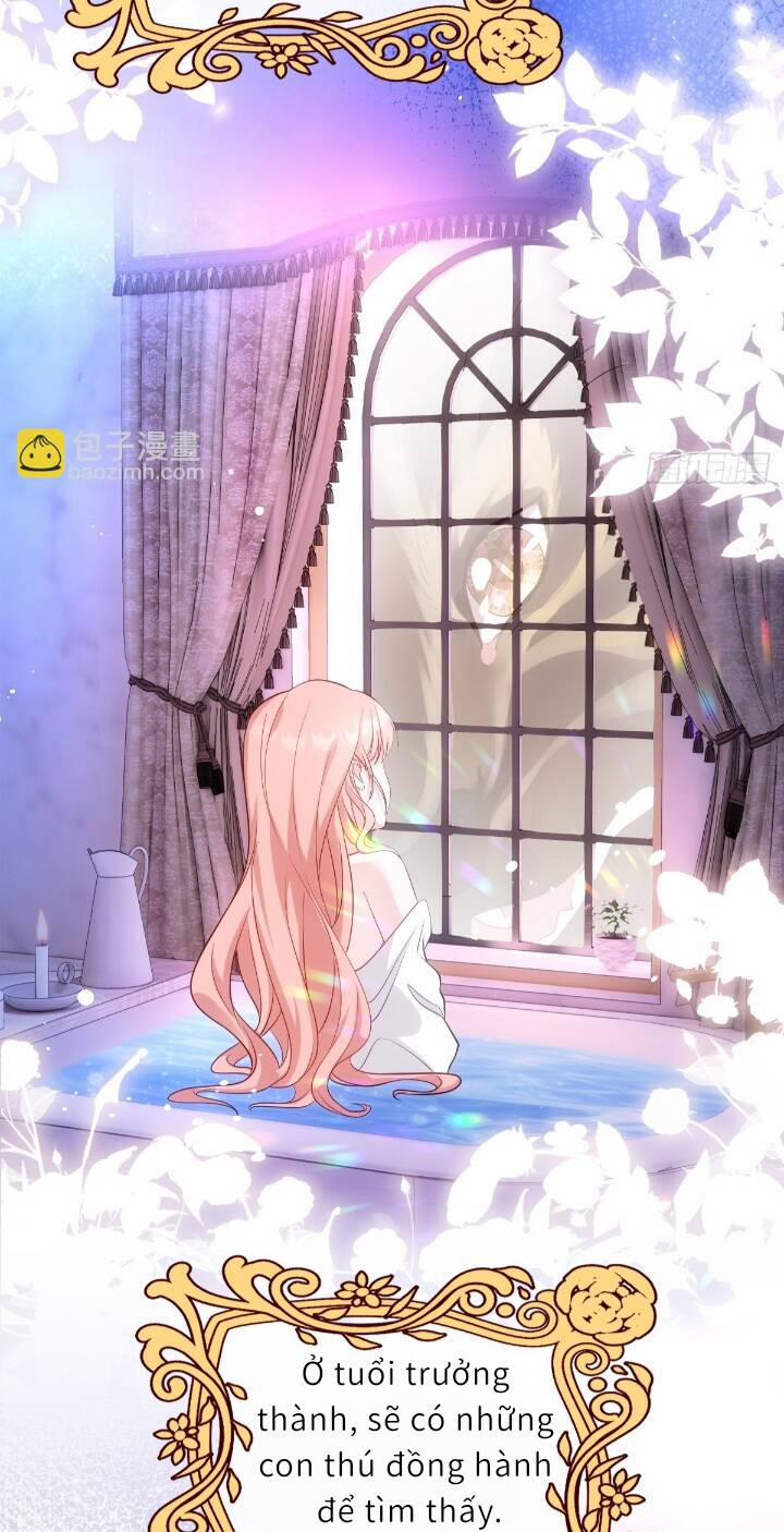 Trở Thành Đoàn Sủng Về Sau, Ta Đại Sát Tứ Phương 1 trang 34