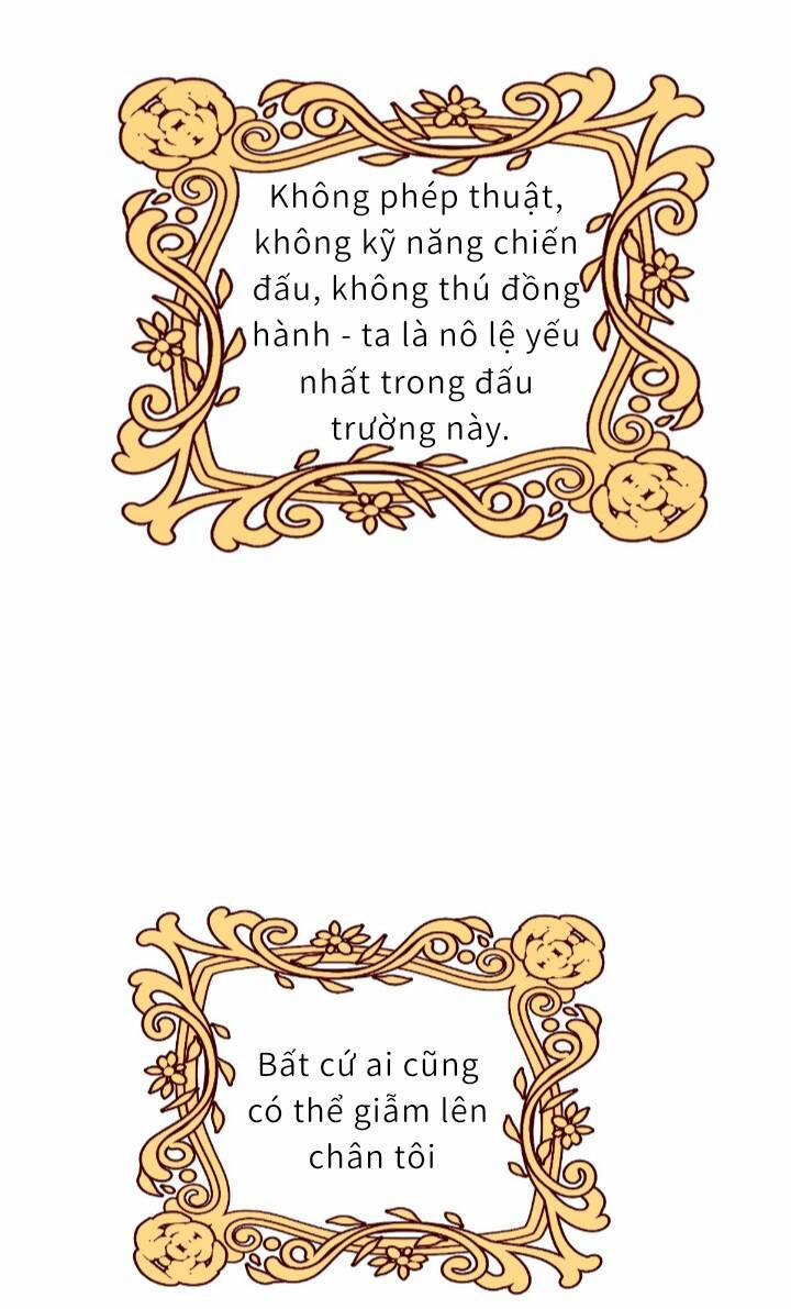 Trở Thành Đoàn Sủng Về Sau, Ta Đại Sát Tứ Phương 1 trang 39