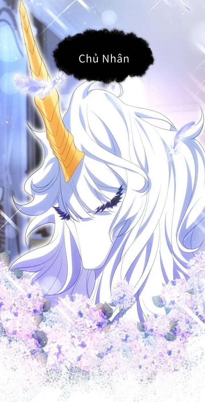 Trở Thành Đoàn Sủng Về Sau, Ta Đại Sát Tứ Phương 2 trang 22