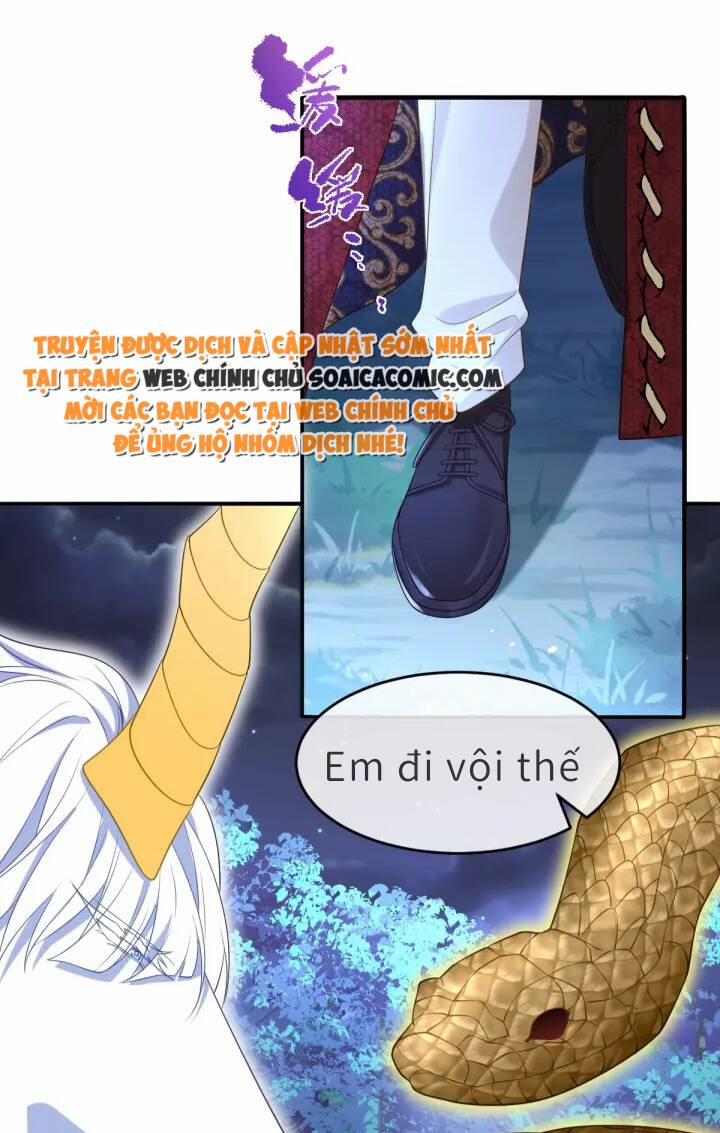 Trở Thành Đoàn Sủng Về Sau, Ta Đại Sát Tứ Phương 3 trang 11