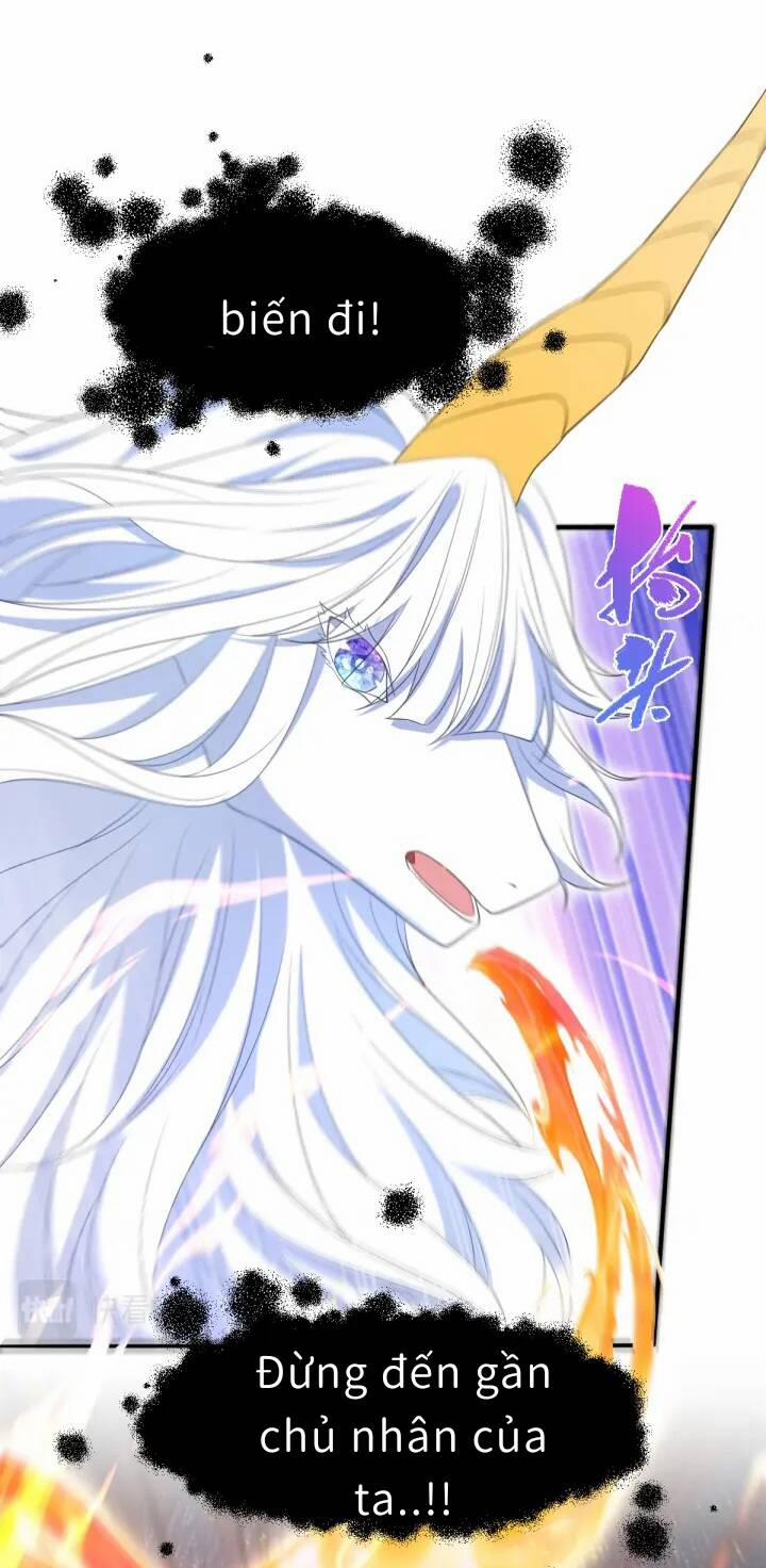 Trở Thành Đoàn Sủng Về Sau, Ta Đại Sát Tứ Phương 3 trang 19