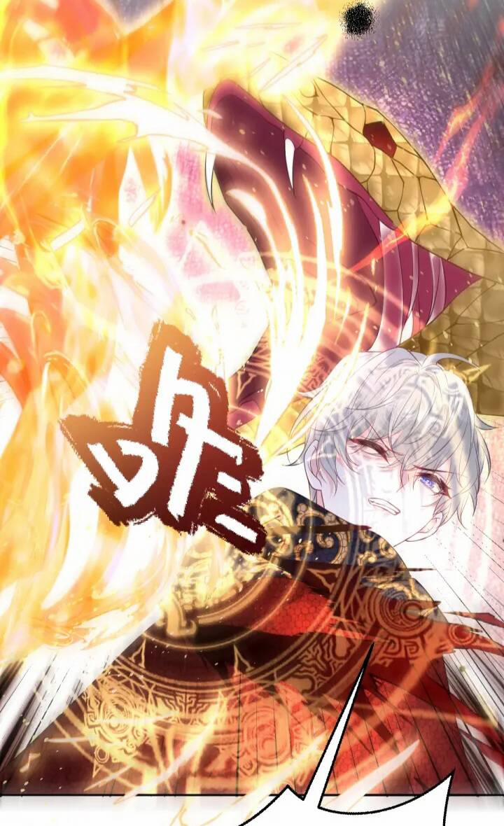 Trở Thành Đoàn Sủng Về Sau, Ta Đại Sát Tứ Phương 3 trang 20