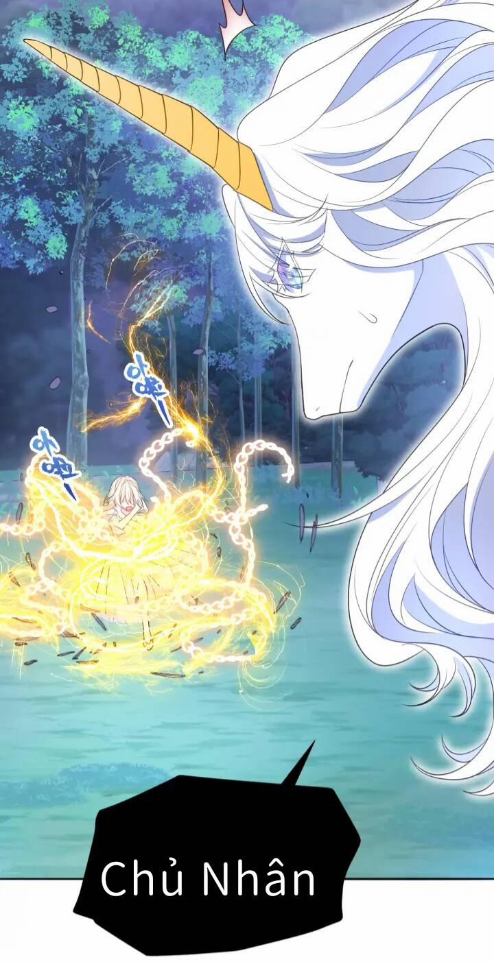 Trở Thành Đoàn Sủng Về Sau, Ta Đại Sát Tứ Phương 3 trang 24