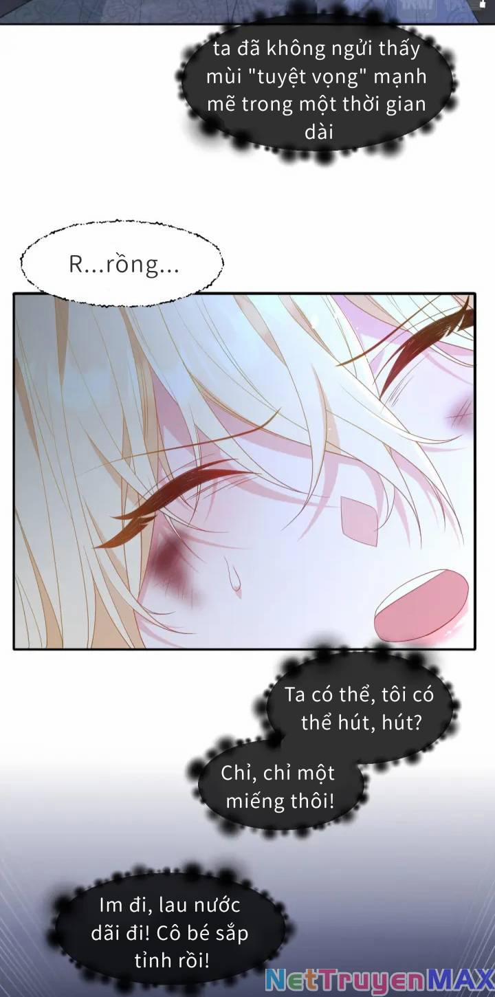 Trở Thành Đoàn Sủng Về Sau, Ta Đại Sát Tứ Phương 4 trang 1