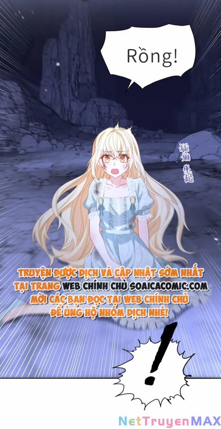 Trở Thành Đoàn Sủng Về Sau, Ta Đại Sát Tứ Phương 4 trang 2